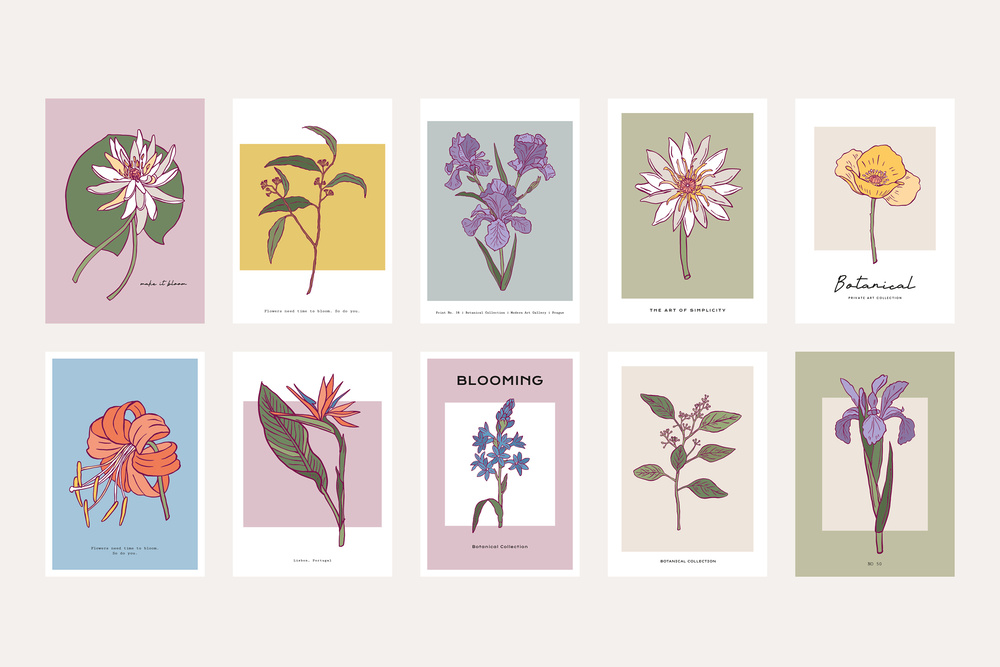 Flower Boom Prints Posters
