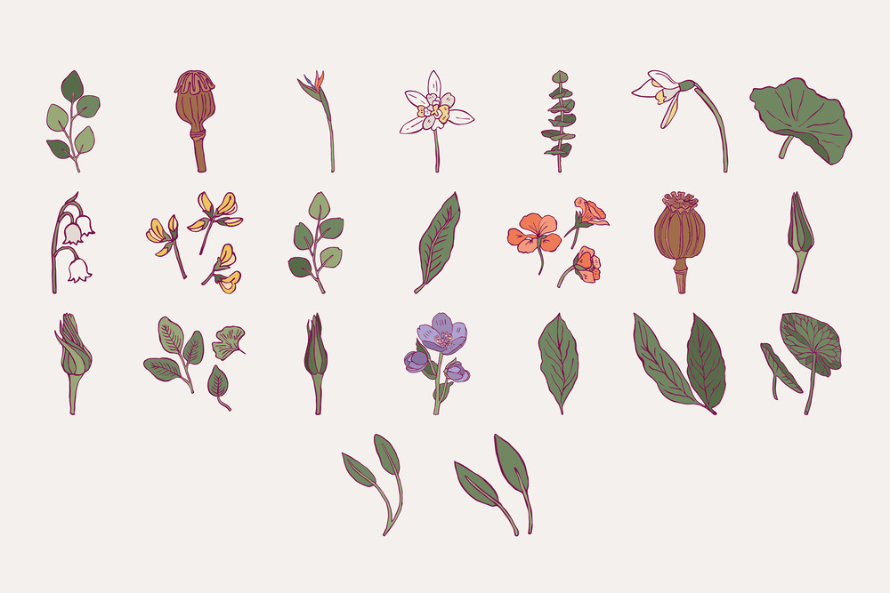 Flower Boom Prints Posters