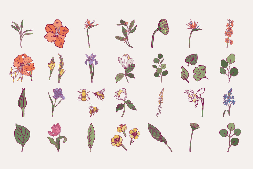 Flower Boom Prints Posters