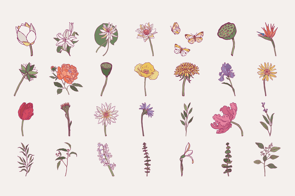 Flower Boom Prints Posters