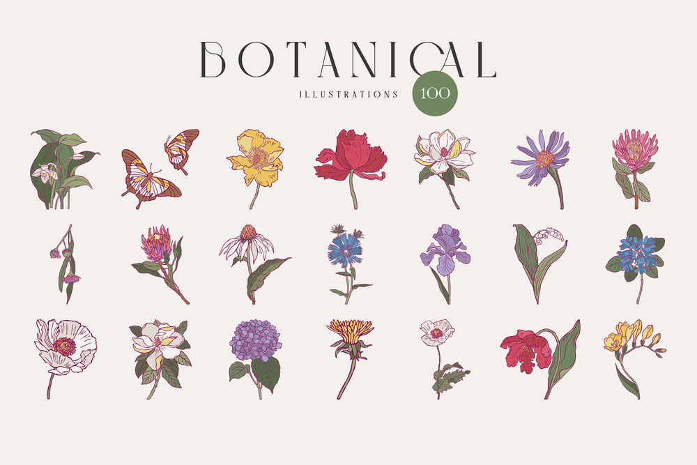 Flower Boom Prints Posters