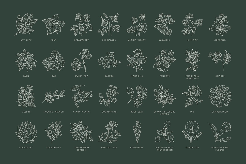 Floral Logo Kit