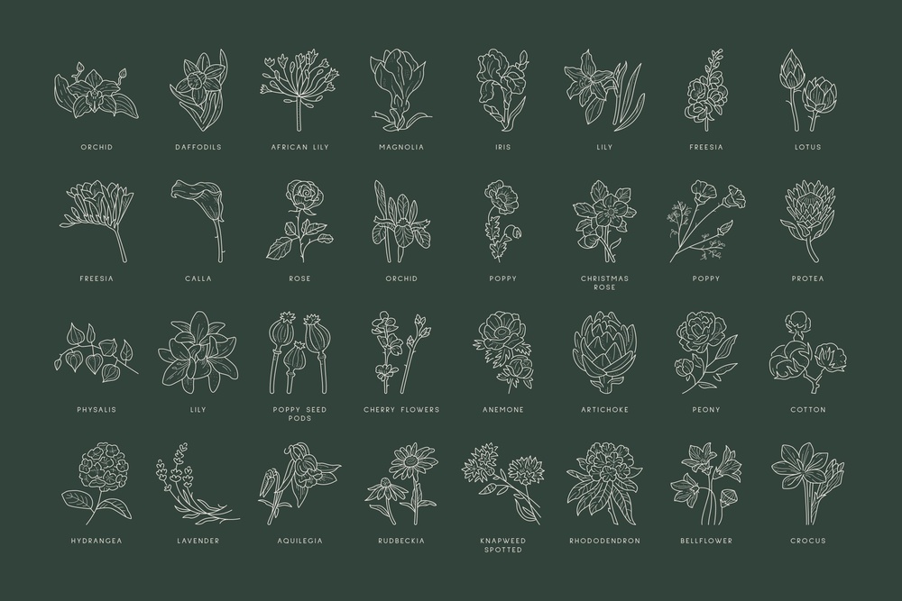 Floral Logo Kit